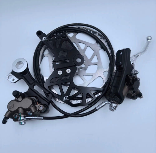 Ultra bee brake rear set